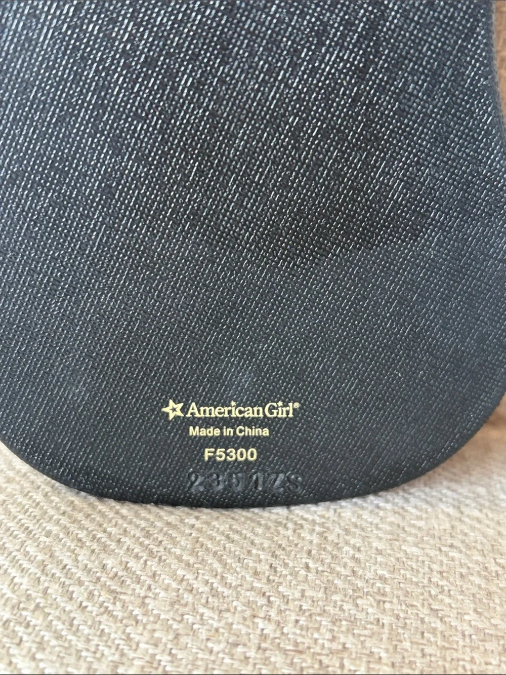 American Girl Retired Hard Shell Violin Case Accessory